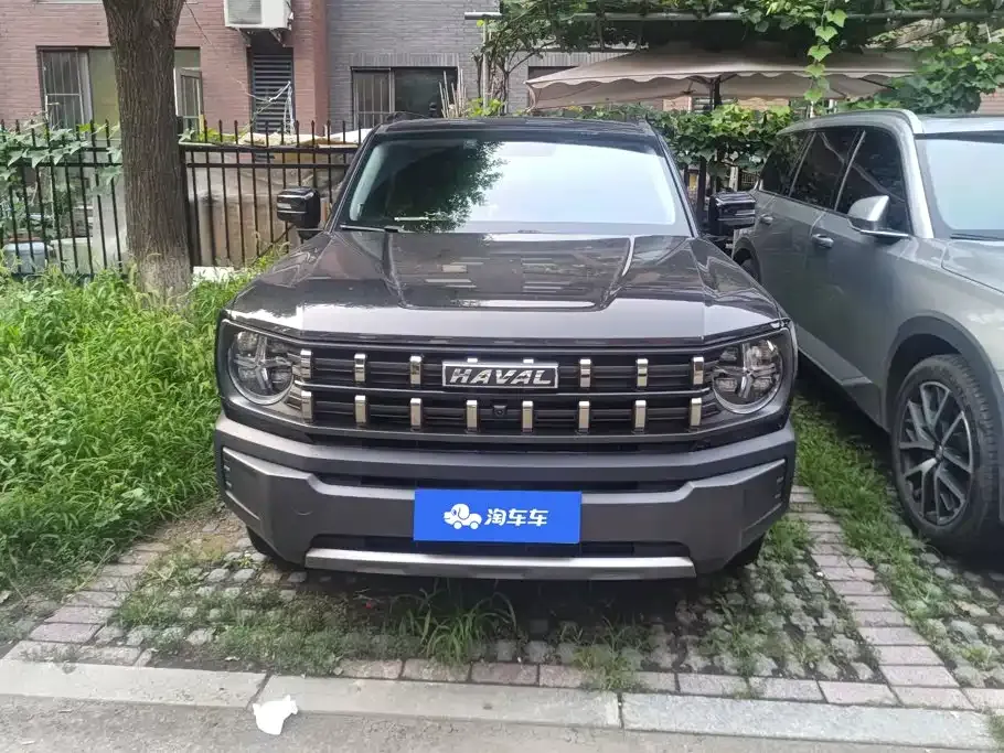 Haval Cool Dog — фото 7