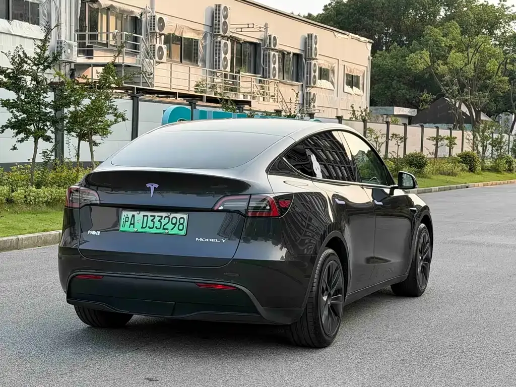 Tesla Model Y — фото 9
