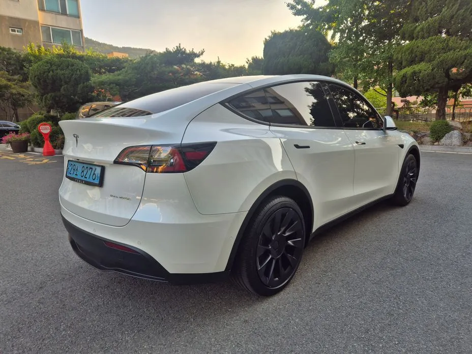 Tesla Model Y — фото 10