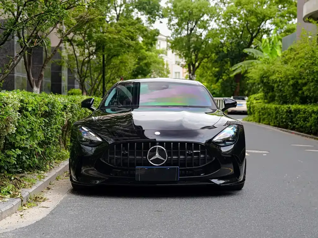 Mercedes-Benz AMG GT新能源 — фото 6