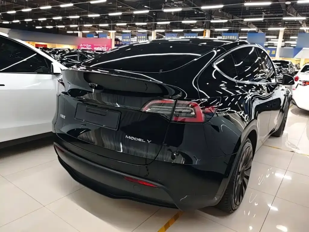 Tesla Model Y — фото 10