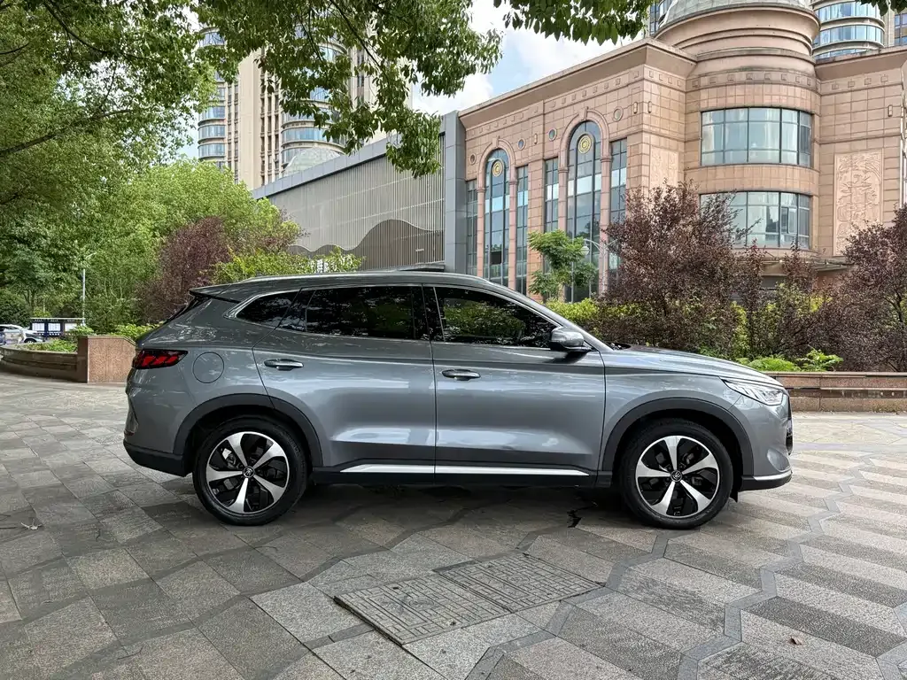 BYD PLUS New Energy — фото 9