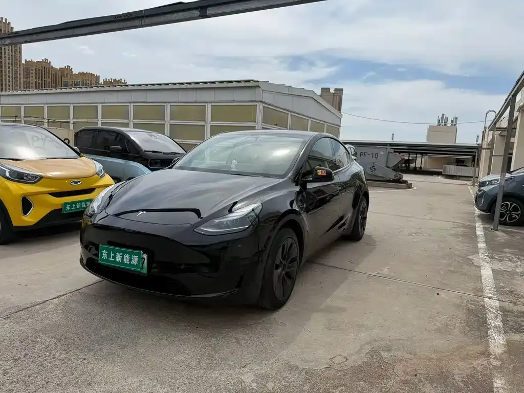 Tesla Model Y — фото 1