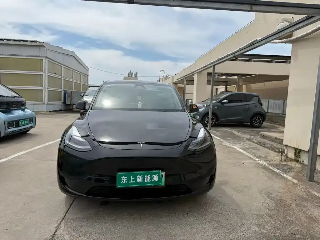 Tesla Model Y — фото 2