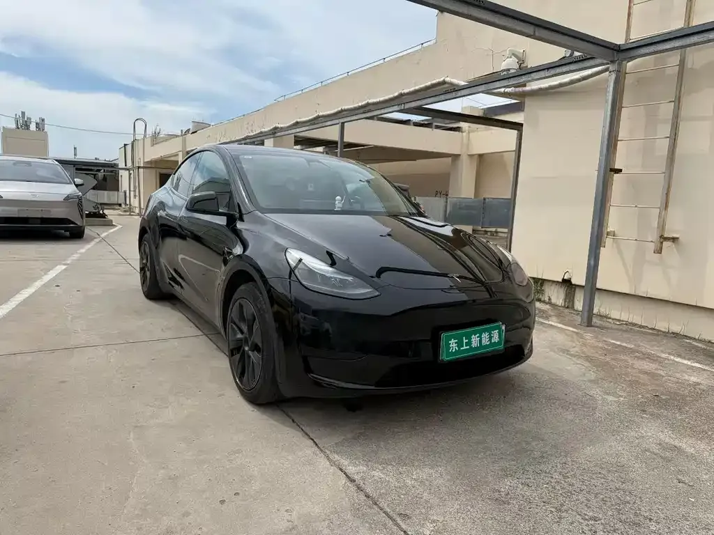 Tesla Model Y — фото 5