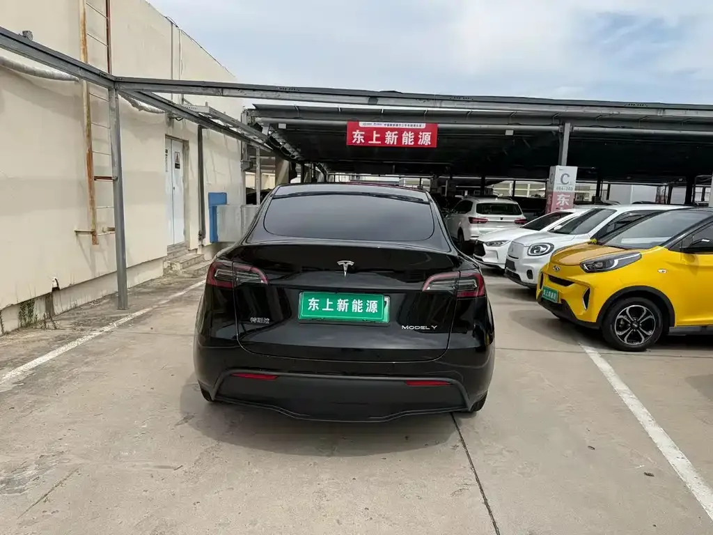 Tesla Model Y — фото 9