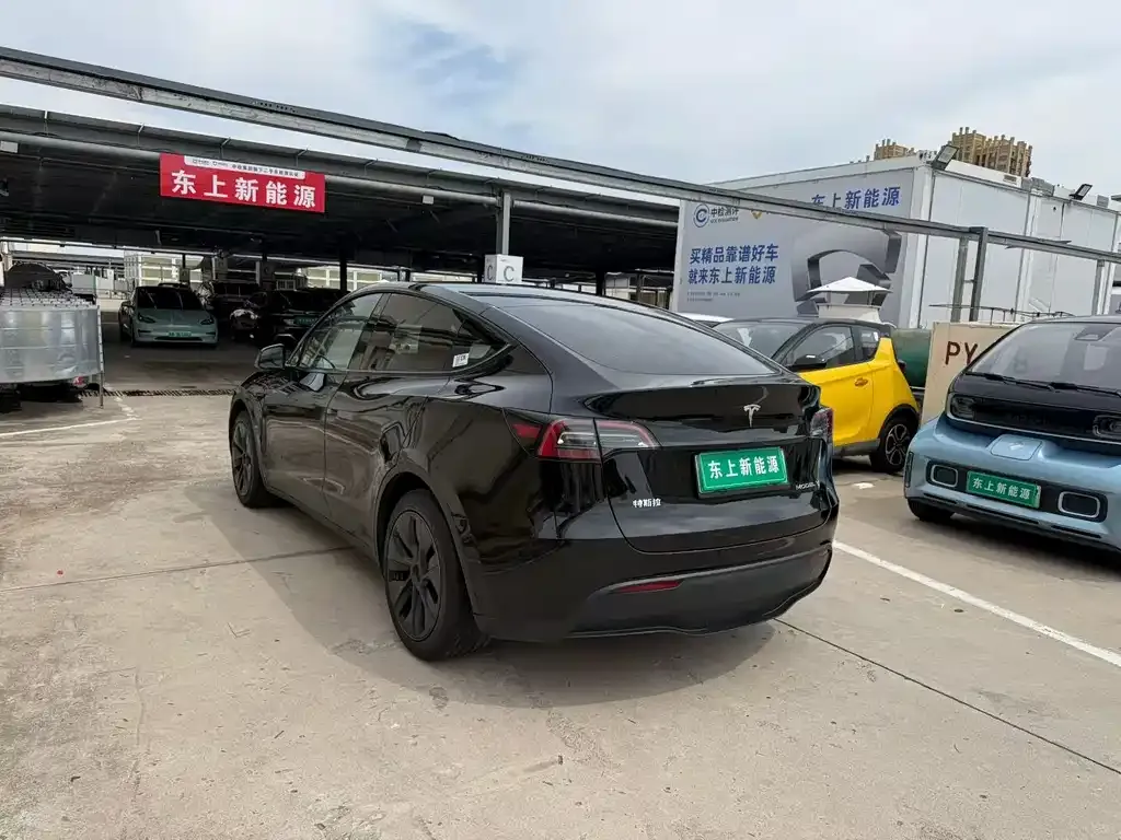 Tesla Model Y — фото 8