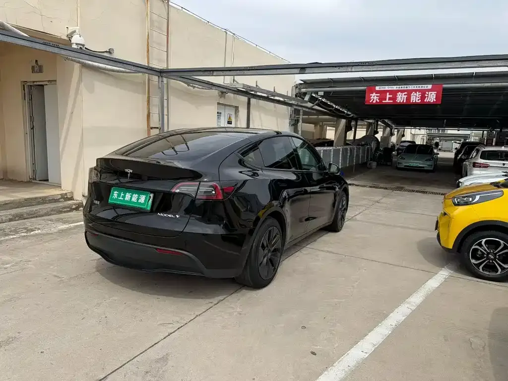 Tesla Model Y — фото 3