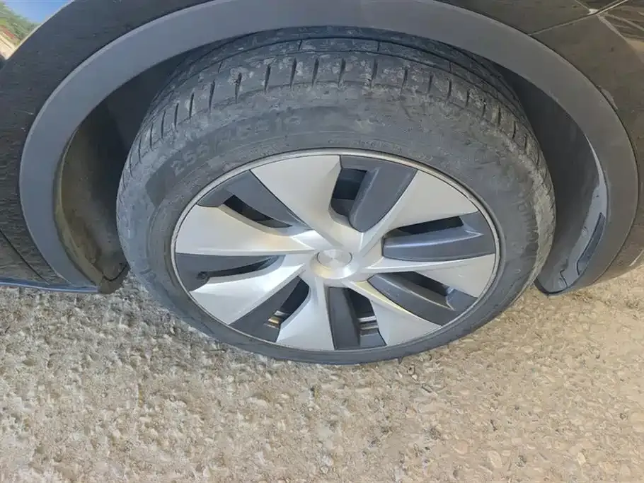 Tesla Model Y — фото 10