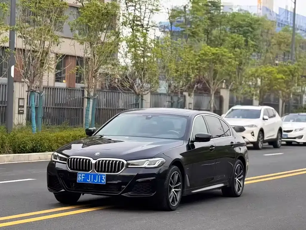 BMW 5 Series 2022 из CN, фото 8