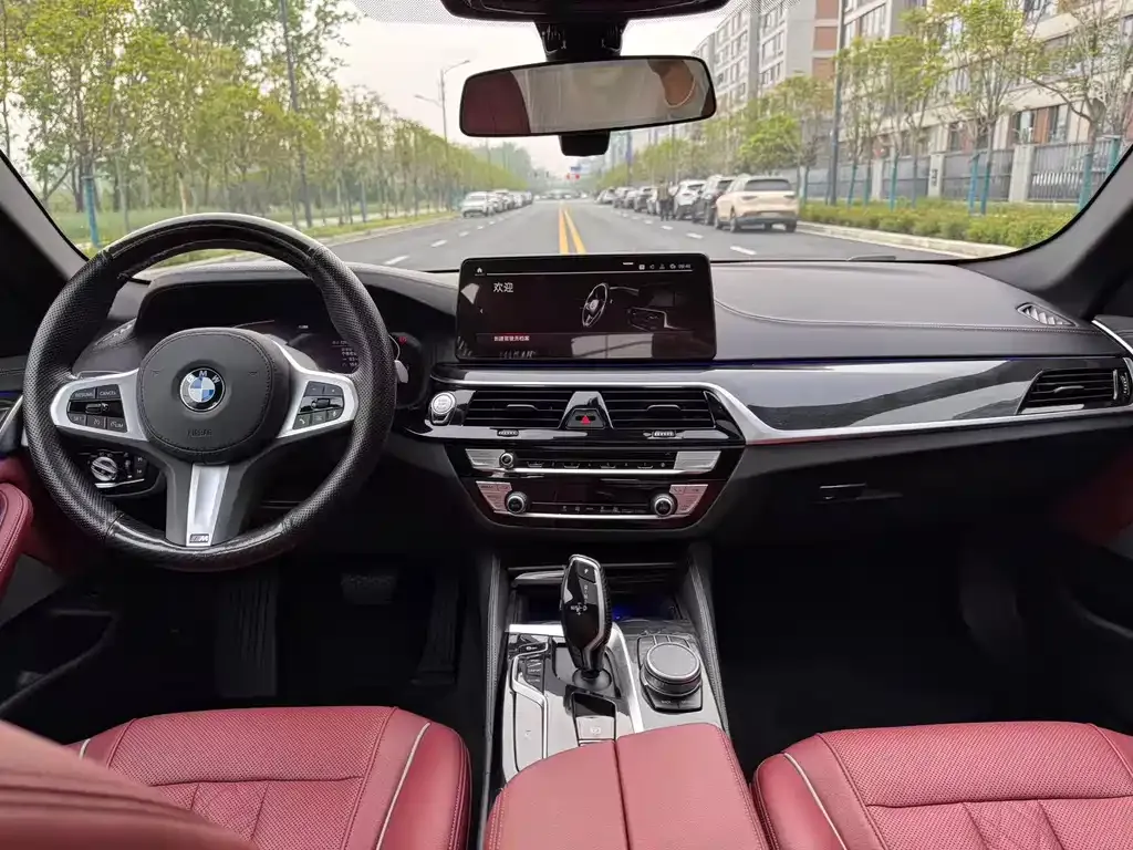 BMW 5 Series 2022 из CN, фото 6