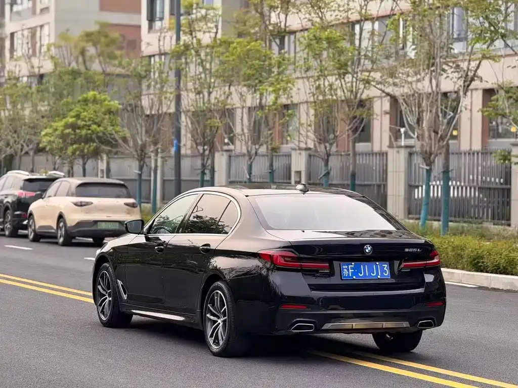 BMW 5 Series 2022 из CN, фото 2