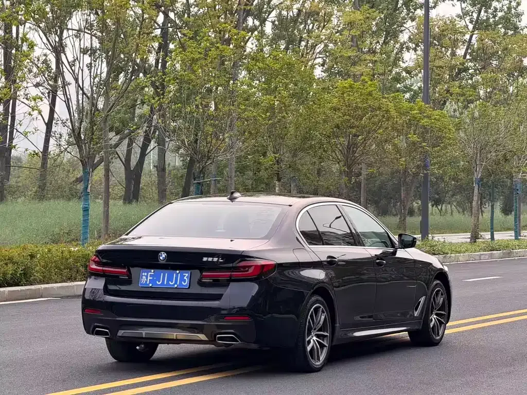 BMW 5 Series 2022 из CN, фото 7