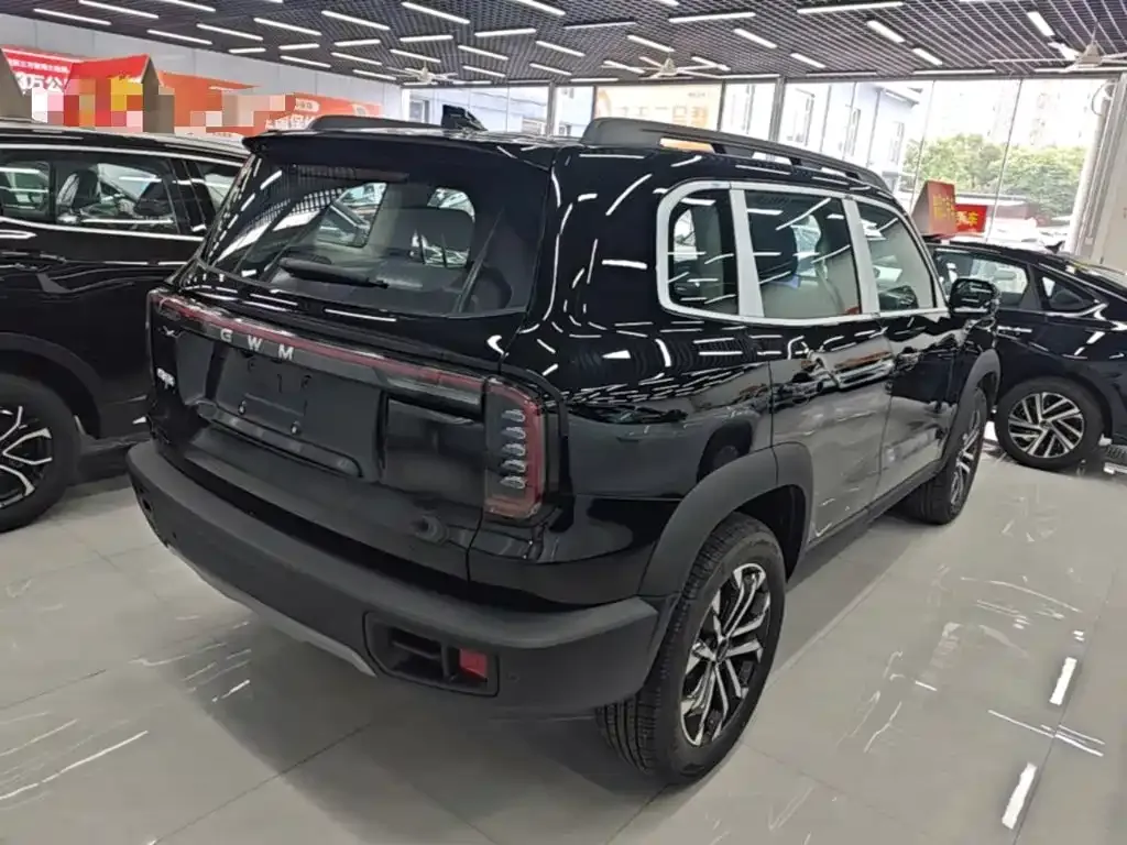 Haval Big Dog — фото 7