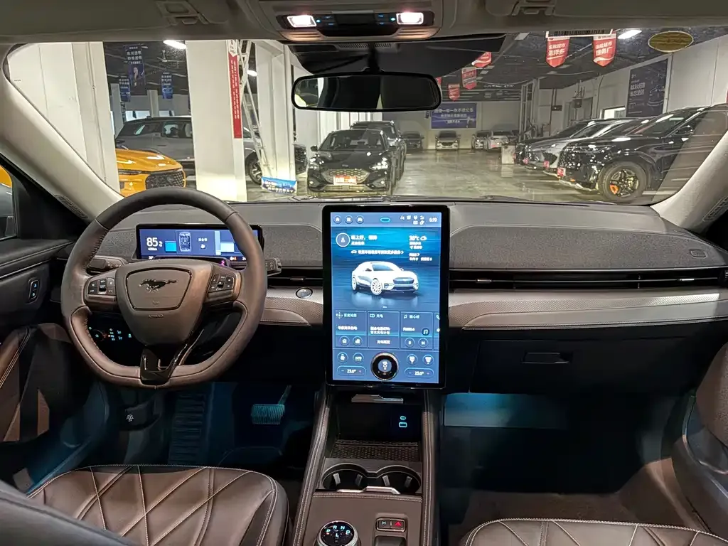 Ford Mustang Mach-E — фото 10