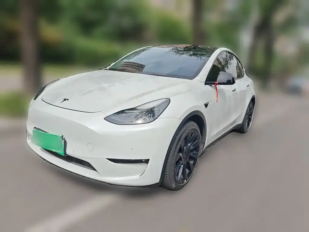 Tesla Model Y — фото 2