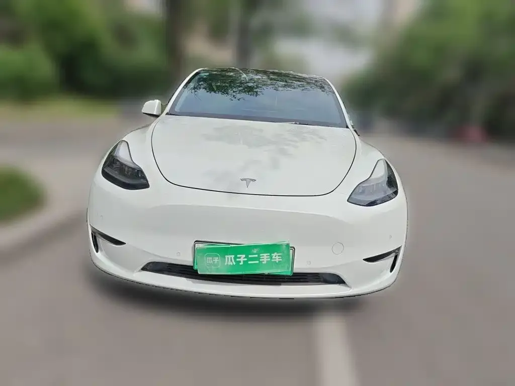 Tesla Model Y — фото 9