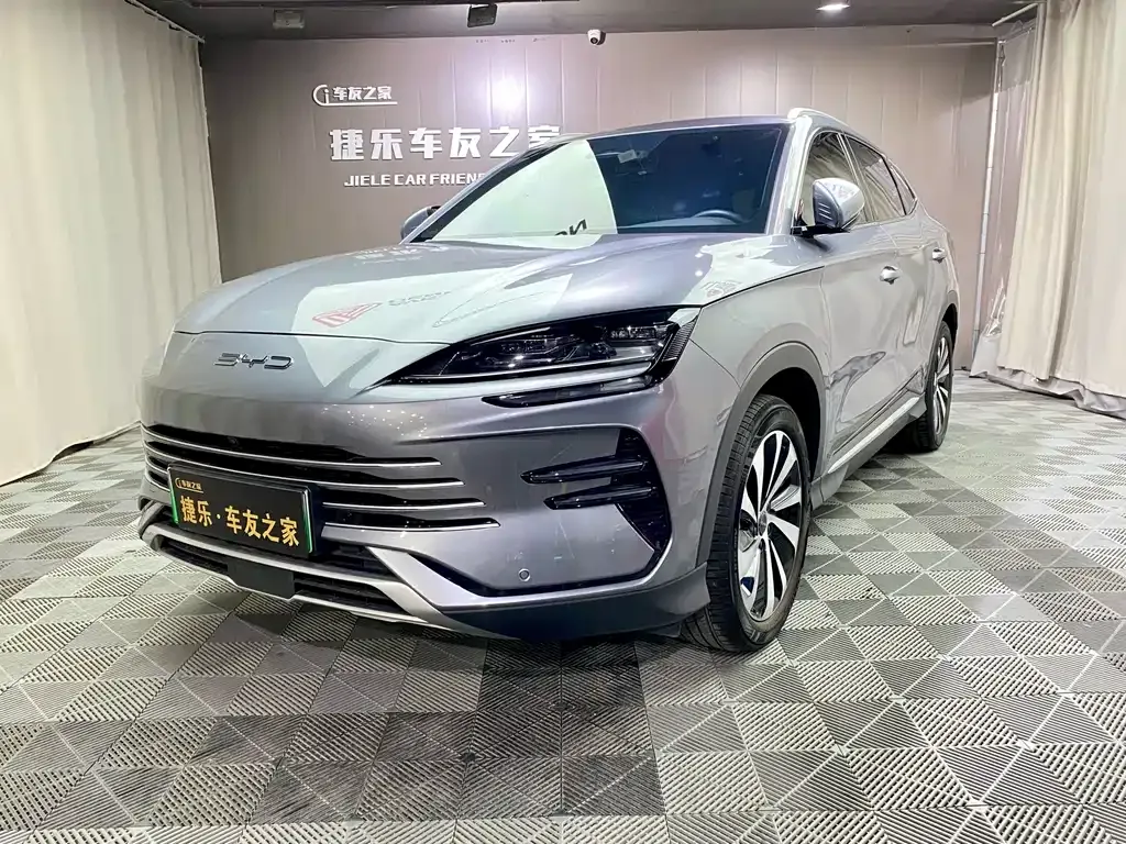 BYD PLUS New Energy — фото 1