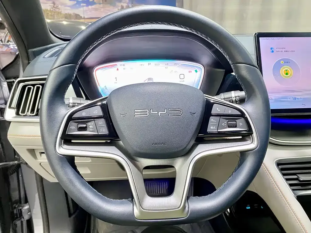 BYD PLUS New Energy — фото 4
