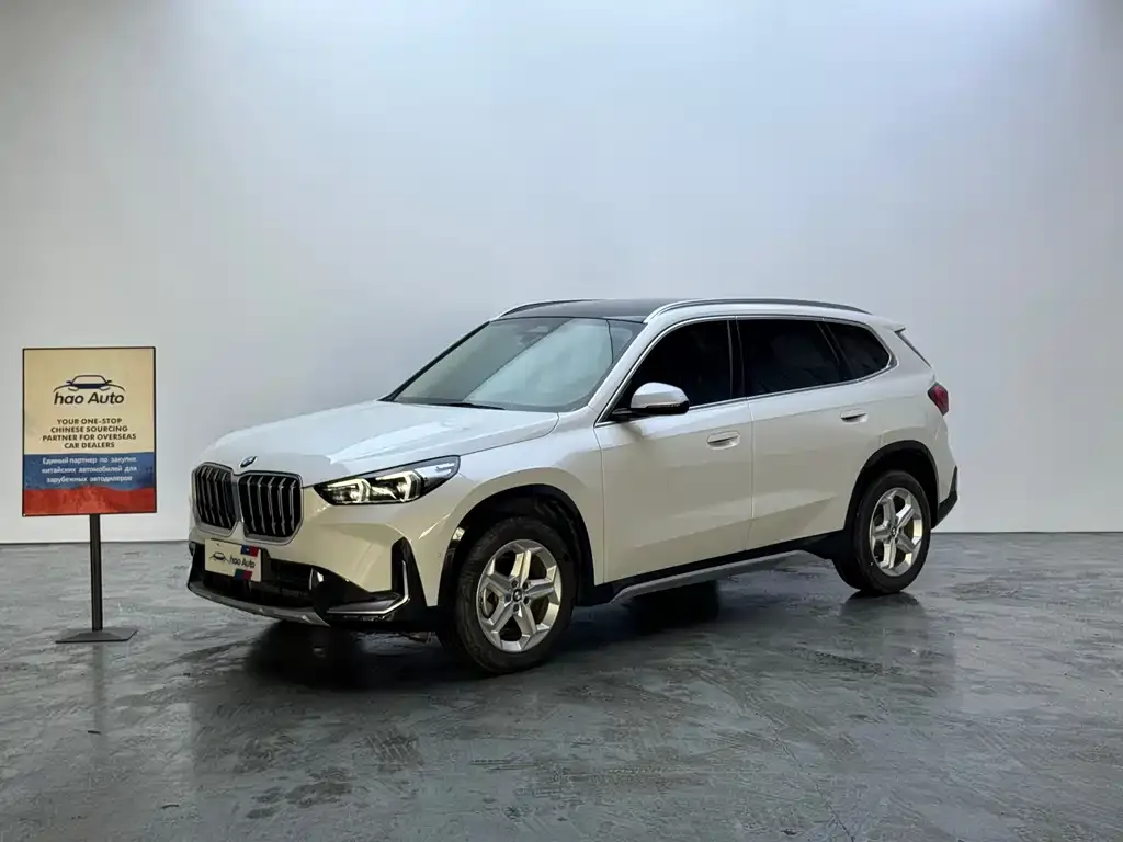 BMW X1 — фото 1