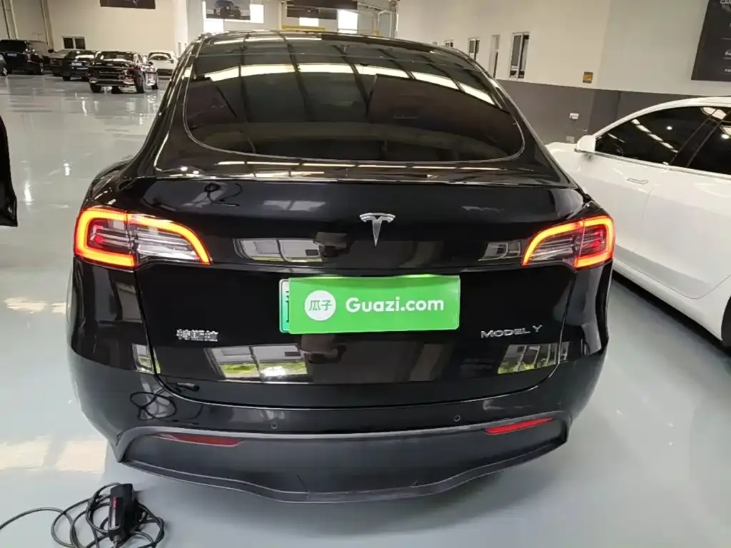 Tesla Model Y — фото 10