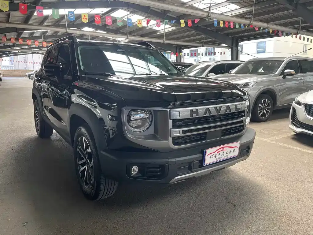 Haval Big Dog — фото 10