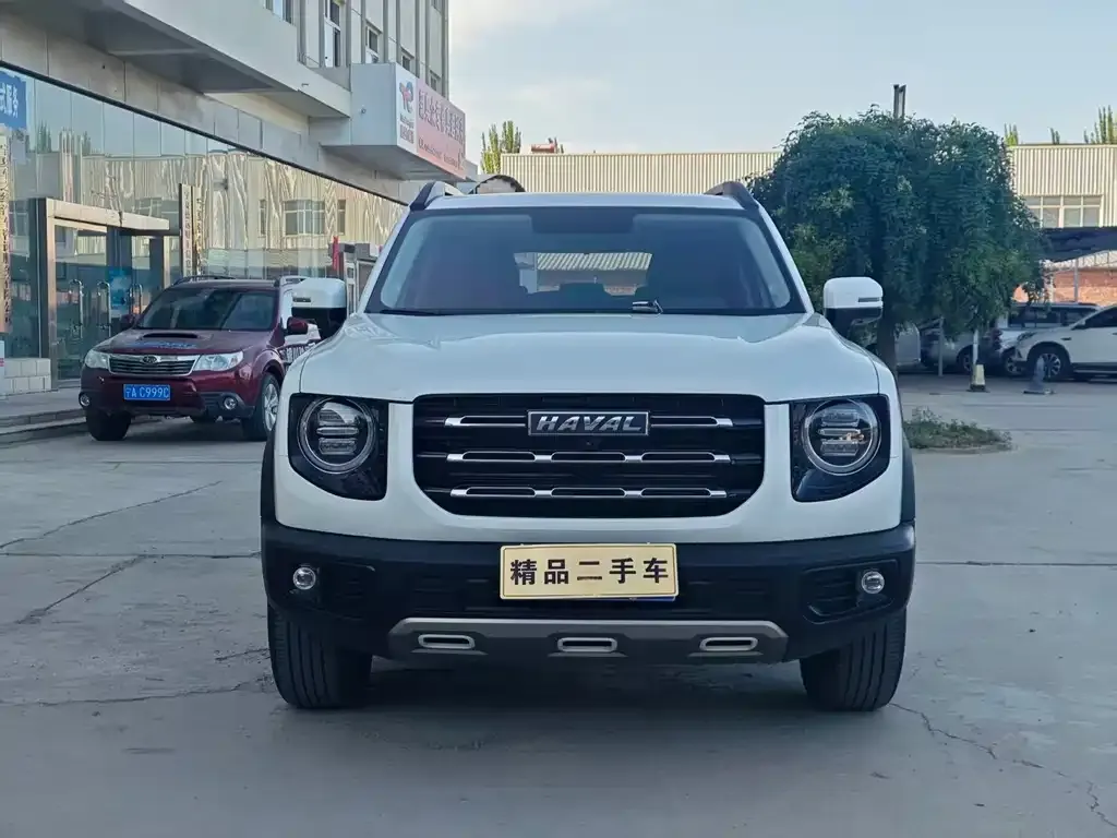 Haval Big Dog — фото 8