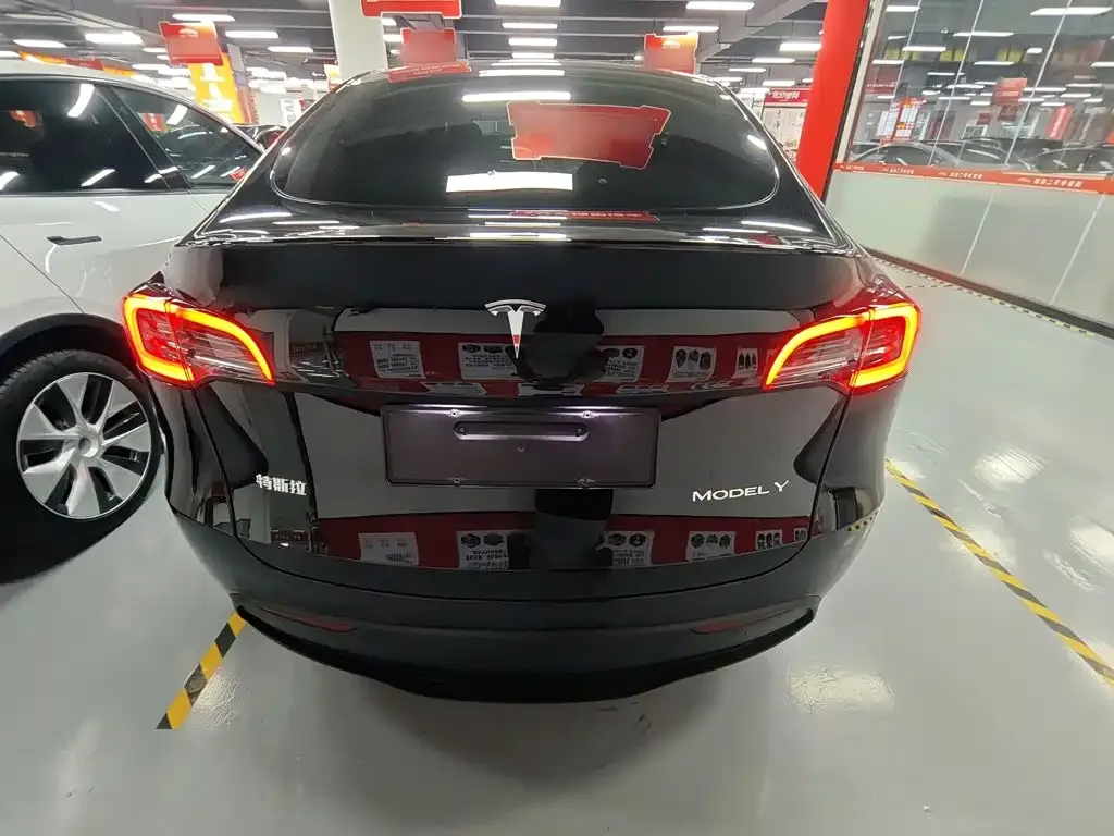 Tesla Model Y — фото 10
