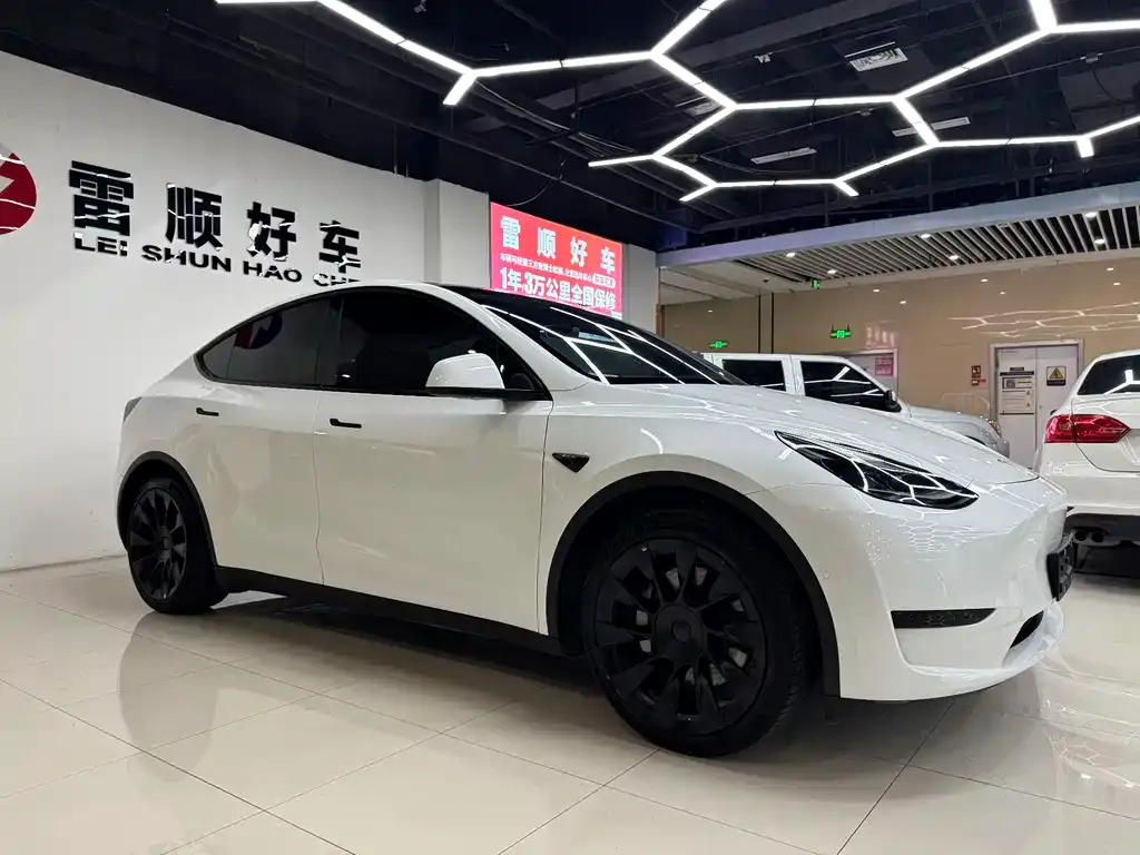 Tesla Model Y — фото 10