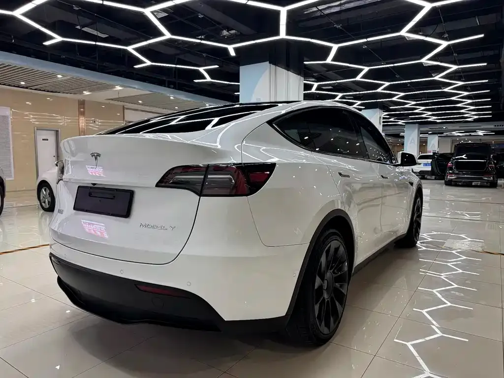 Tesla Model Y — фото 5
