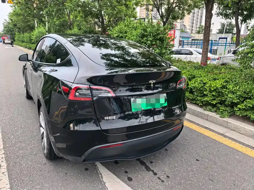 Tesla Model Y — фото 6