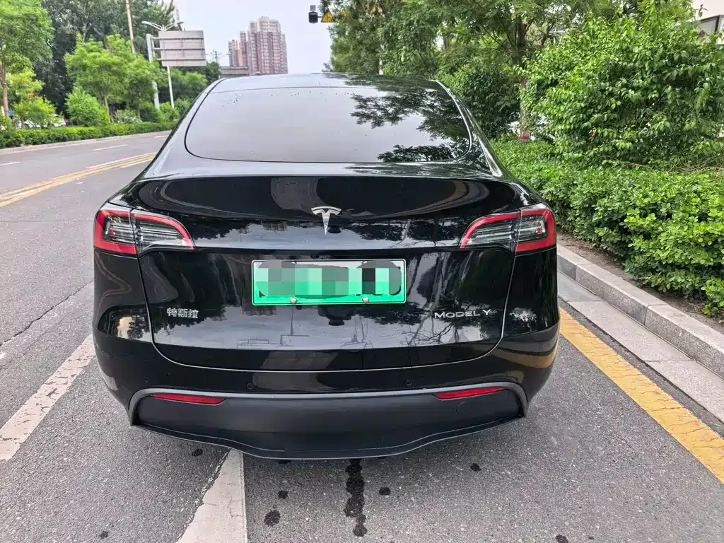 Tesla Model Y — фото 4