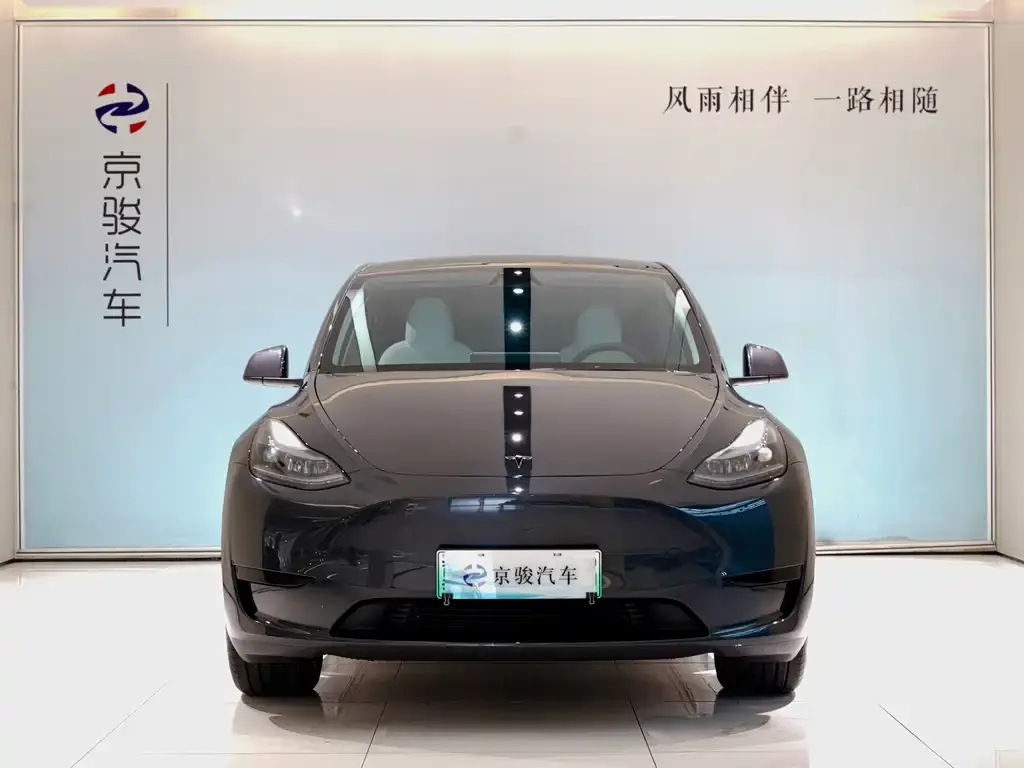 Tesla Model Y — фото 8