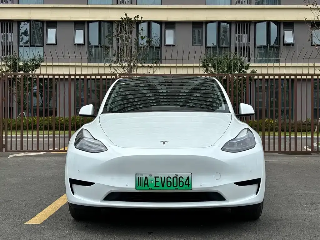 Tesla Model Y — фото 6