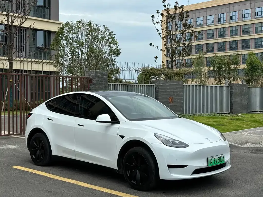 Tesla Model Y — фото 8