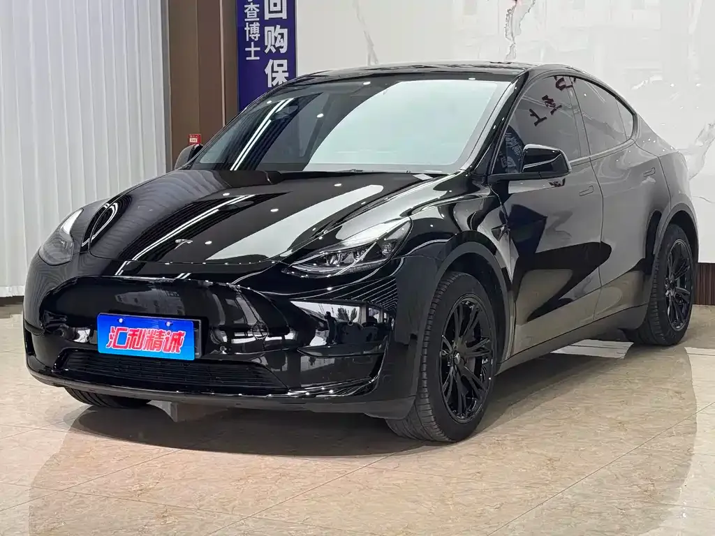 Tesla Model Y — фото 1