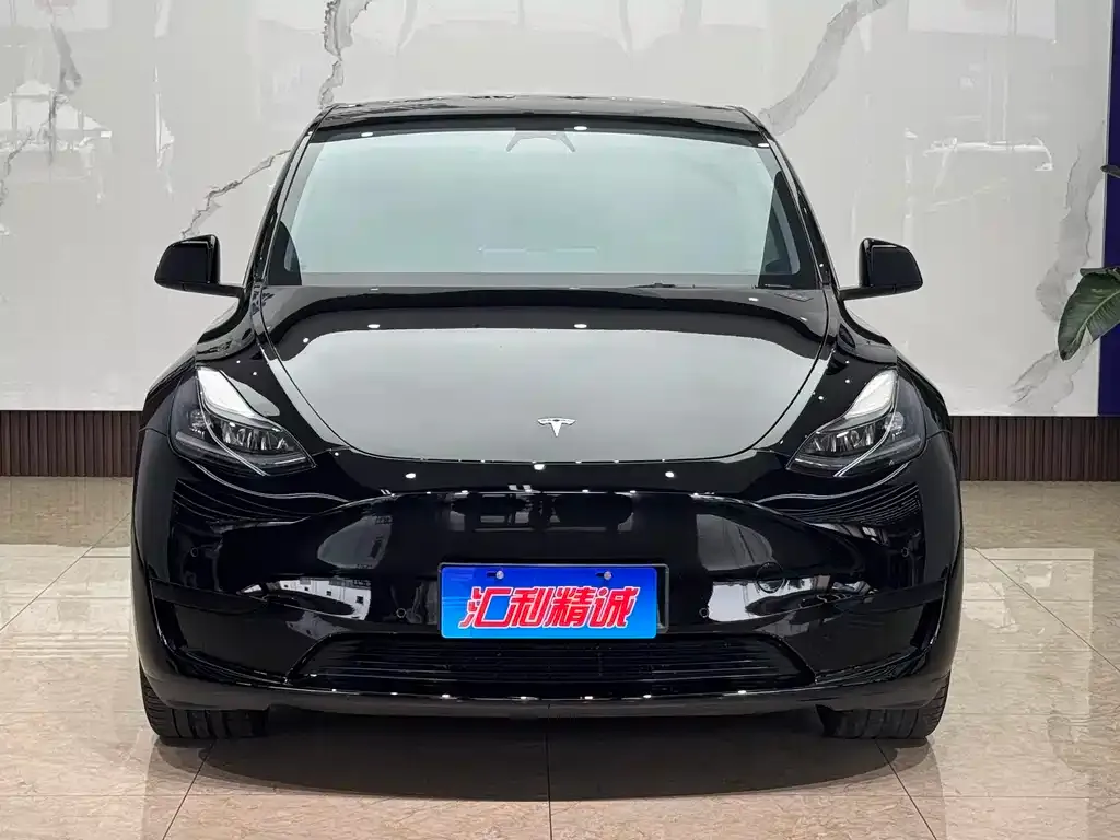 Tesla Model Y — фото 7