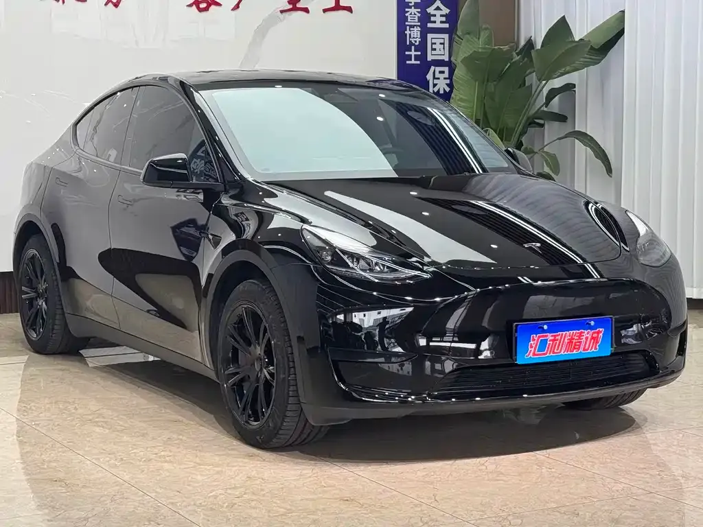 Tesla Model Y — фото 9