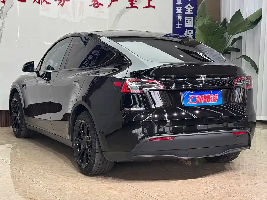 Tesla Model Y — фото 8