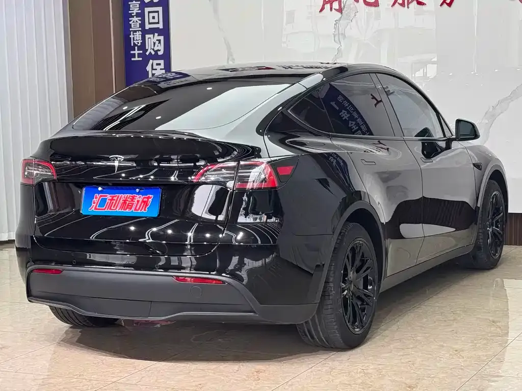 Tesla Model Y — фото 10