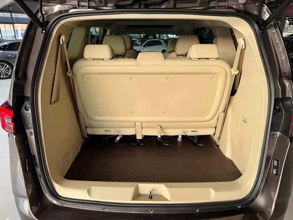 Buick GL8 2024 из CN, фото 4