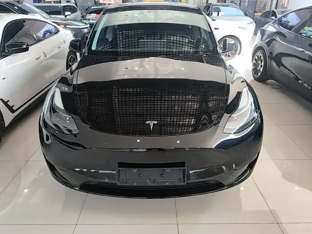 Tesla Model Y — фото 10