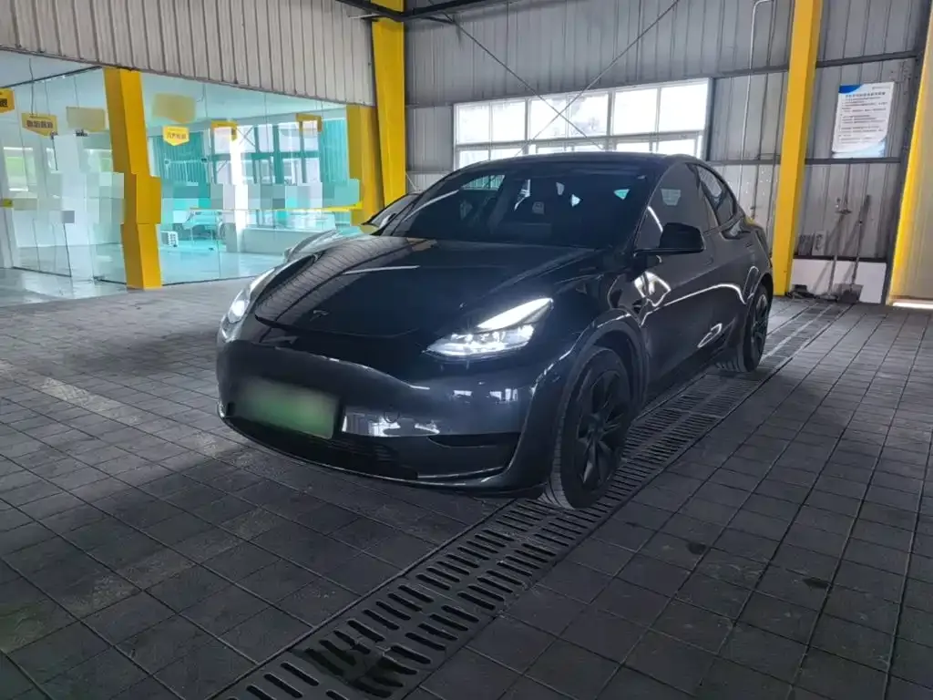 Tesla Model Y — фото 1