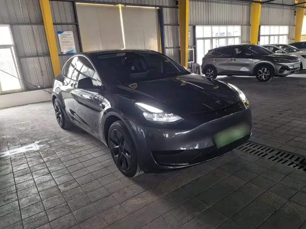 Tesla Model Y — фото 9