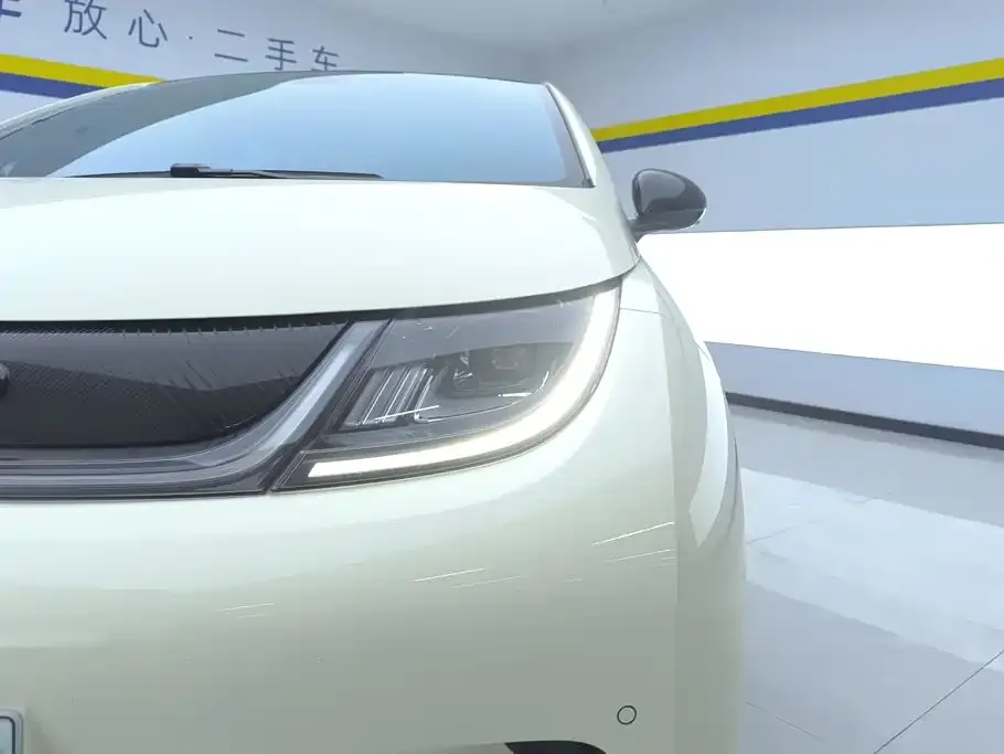 BYD Dolphin 2024 из CN, фото 3