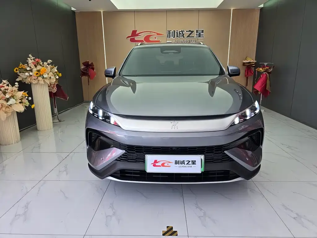 BYD Pro New Energy — фото 9