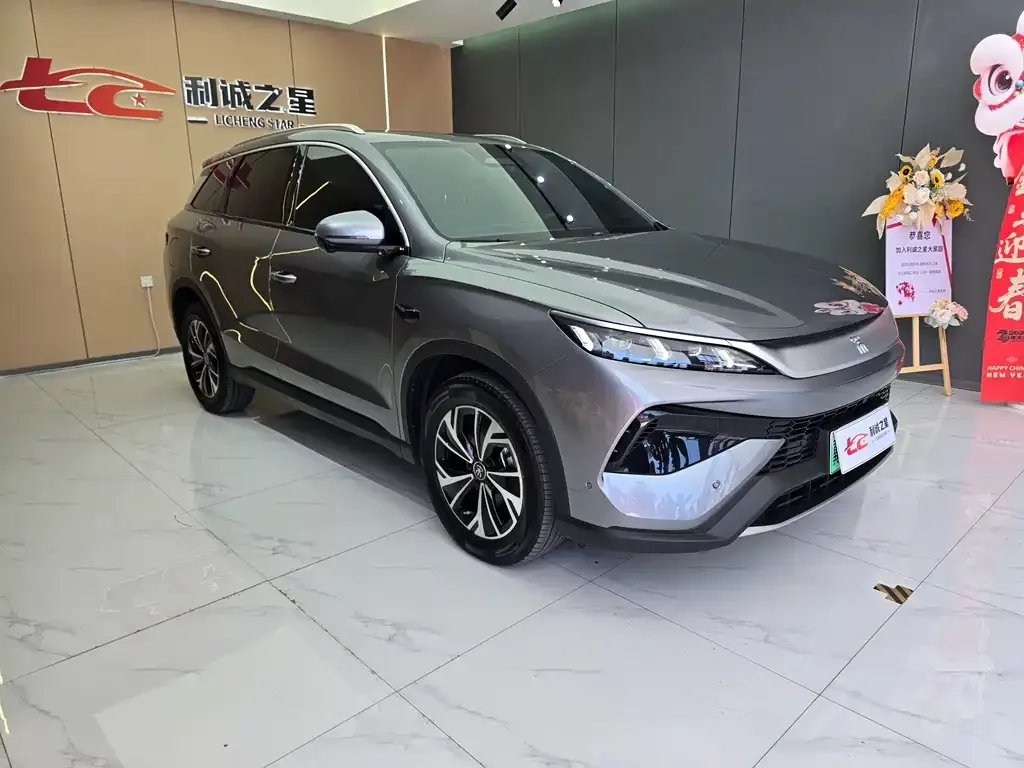 BYD Pro New Energy — фото 8