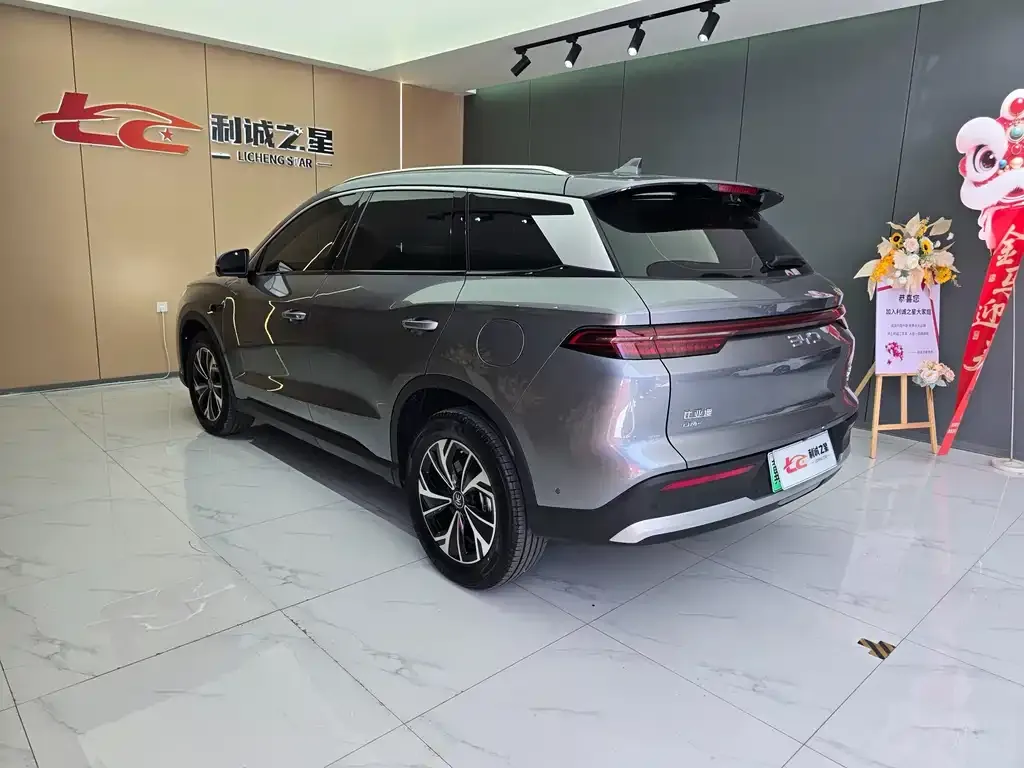 BYD Pro New Energy — фото 4
