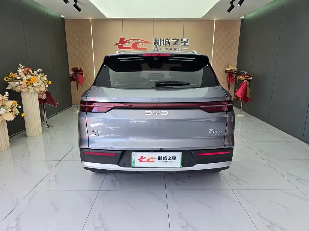BYD Pro New Energy — фото 6