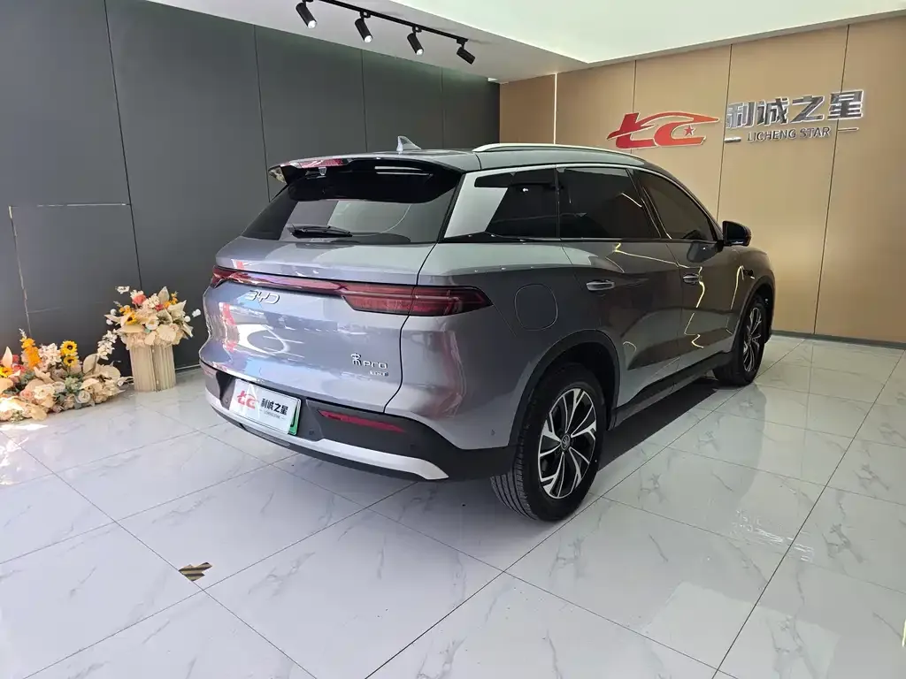 BYD Pro New Energy — фото 7